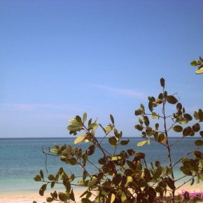 Life’s a beach, but bikinis come and&nbsp;go